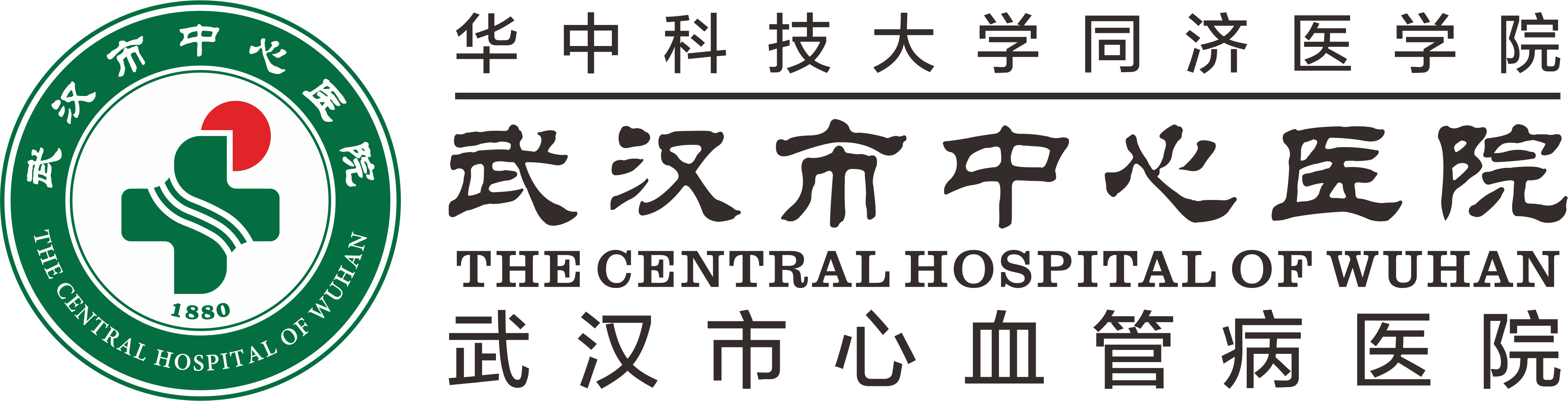 武汉中心医院Logo